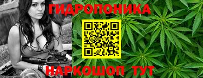 эйфоретик Донской