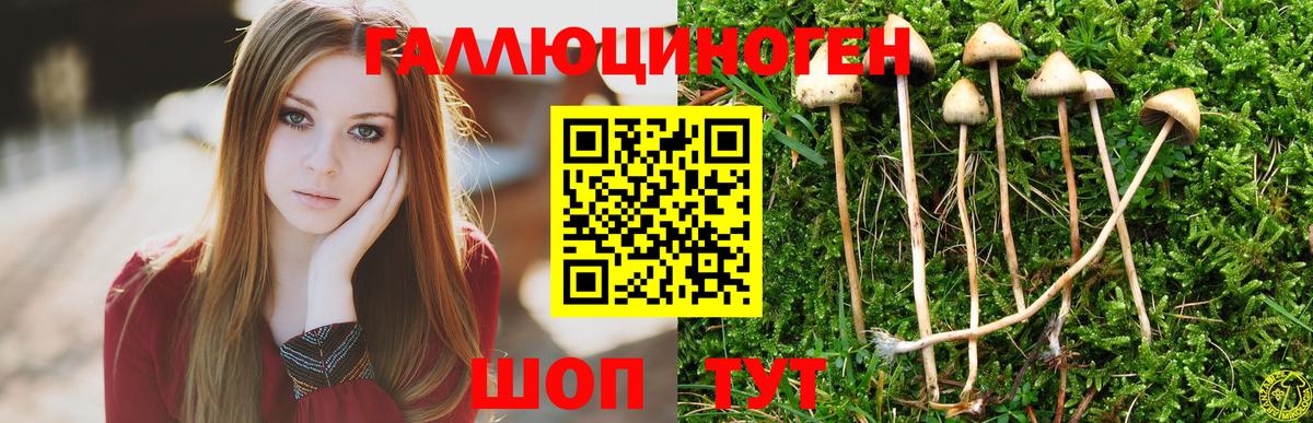 Псилоцибиновые грибы Magic Shrooms  Вход с VPN  Нижневартовск  Галлюциногенные грибы ЛСД 