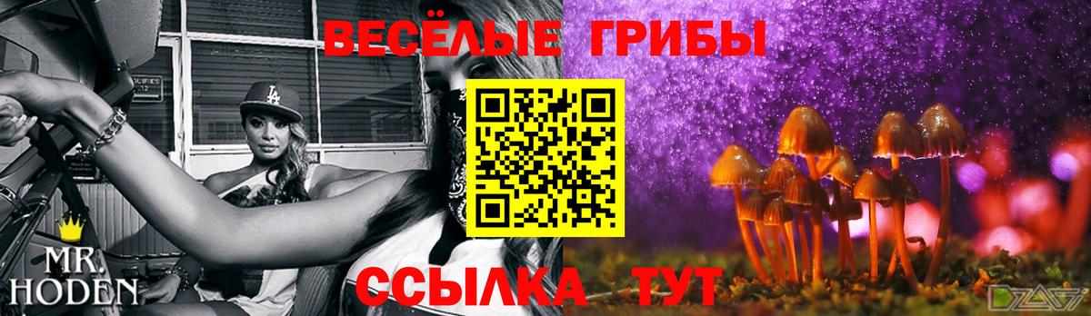 Галлюциногенные грибы Psilocybe Нижневартовск